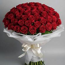 Букет 101 Красная роза Блэк Мэджик в Сарапуле