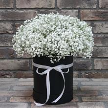 Цветочная композиция из Гипсофила в шляпной коробке в Сарапуле
