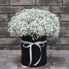 Цветочная композиция из Гипсофила в шляпной коробке в Сарапуле