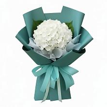 Букет цветов из:  Гортензия #REPLACE_PRED# Сарапуле
